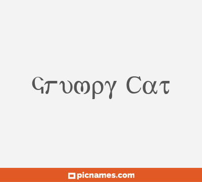 Grumpy Cat
